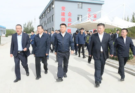 領導調研